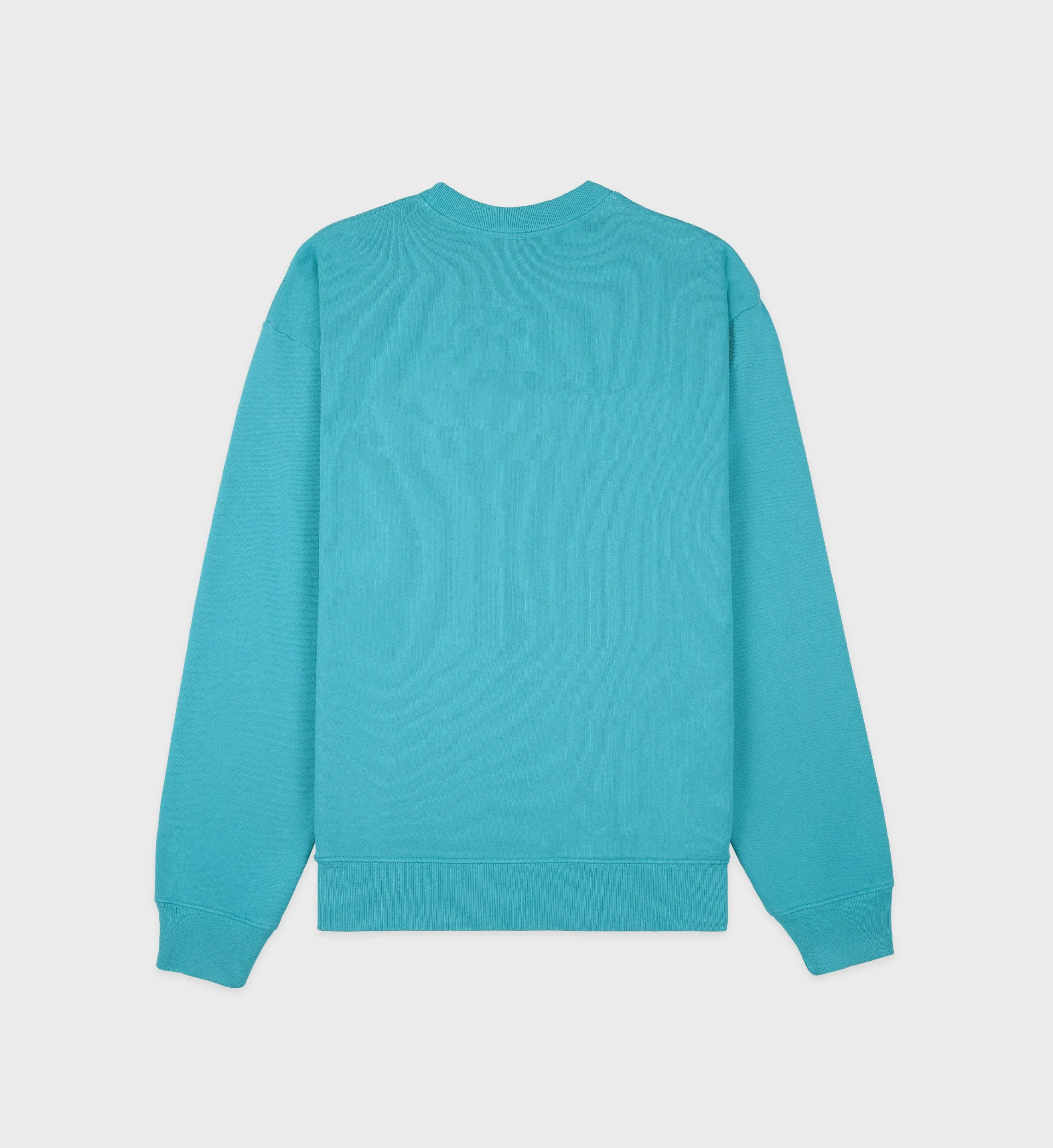 Draft Crewneck - Dolphin