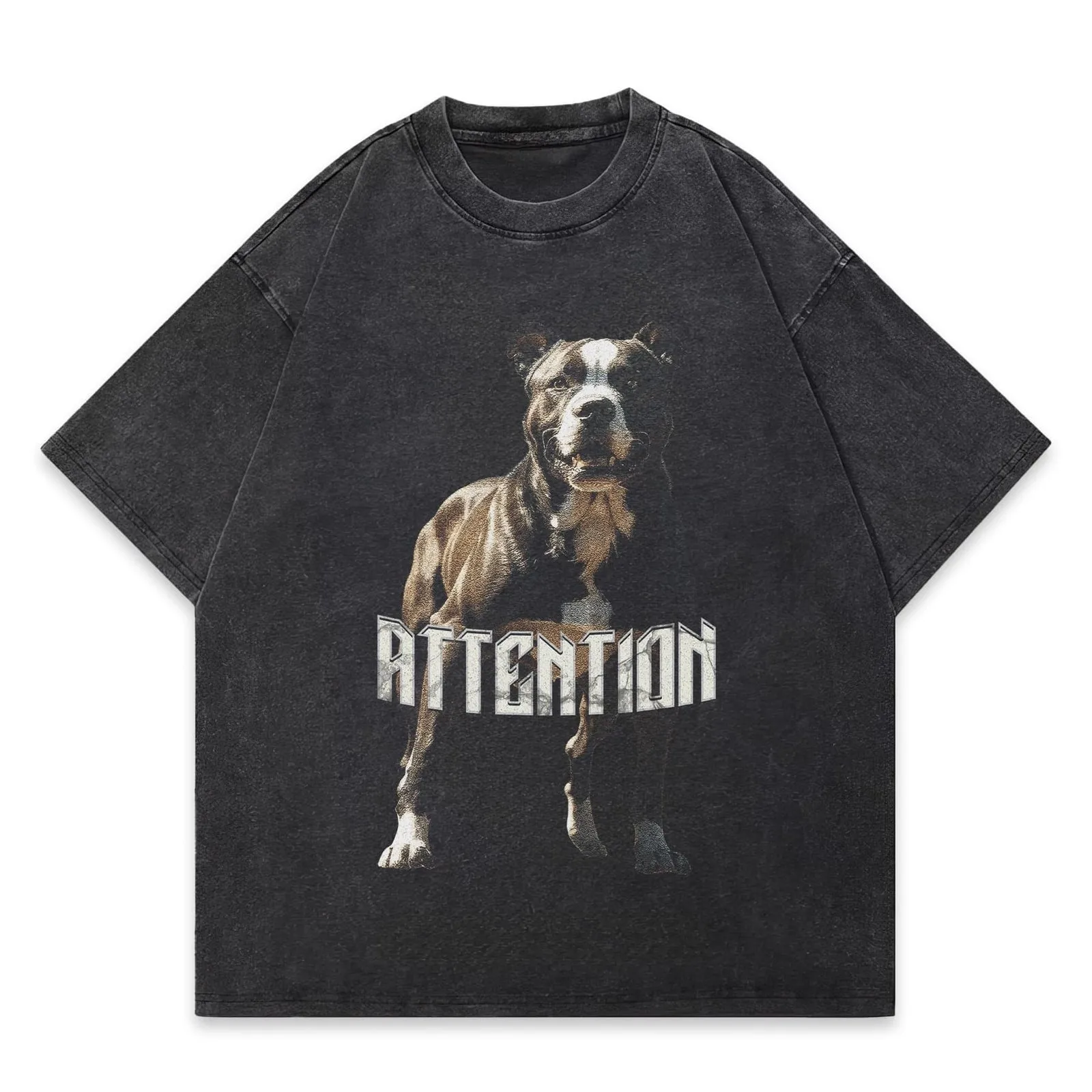 Pitbull Oversized Washed Graphic T-Shirt