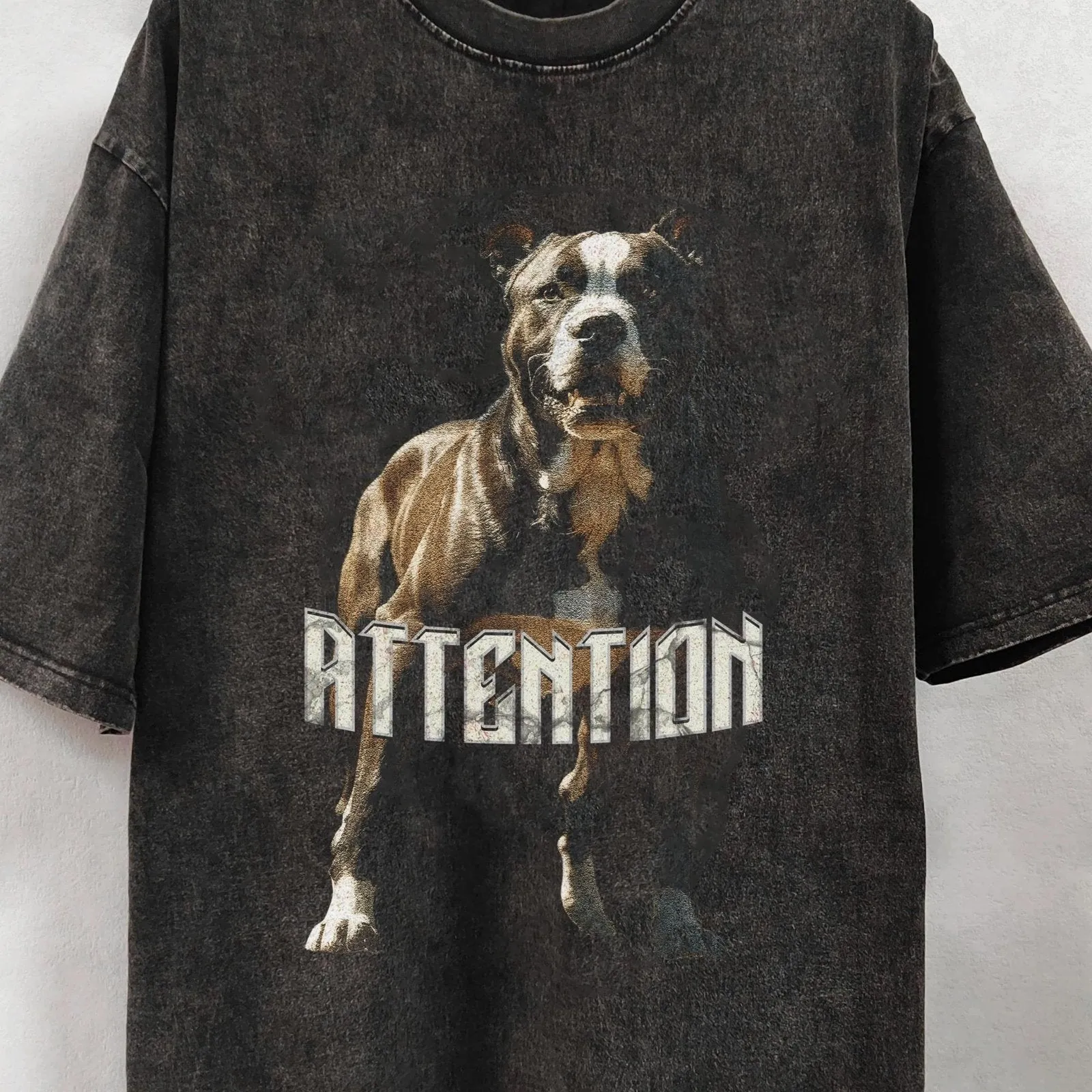 Pitbull Oversized Washed Graphic T-Shirt
